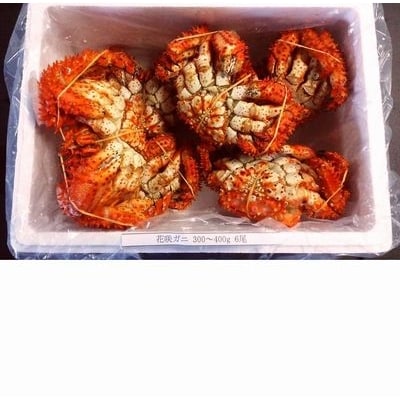 【北海道根室産】花咲ガニ300～400g×6尾 A-57004