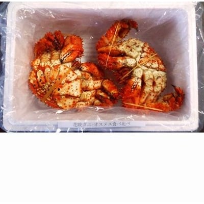 【北海道根室産】花咲ガニオスメス各1尾(計1kg前後) A-57008