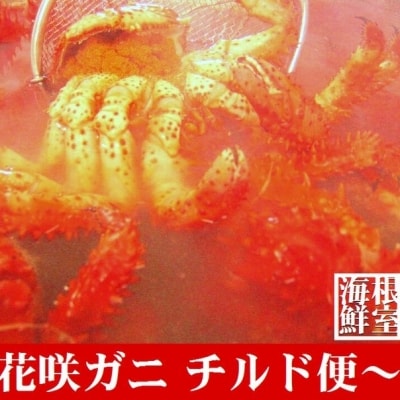 【北海道根室産】花咲ガニ3～5尾(チルド便) A-57026