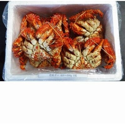 【北海道根室産】花咲ガニ410～500g×5尾 B-57002