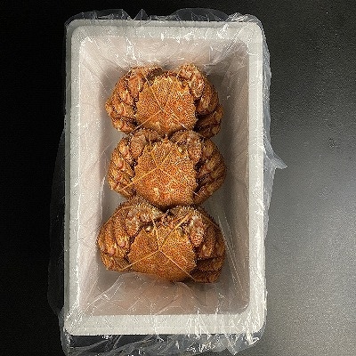 【北海道根室産】毛がに700g前後×3尾 D-21003