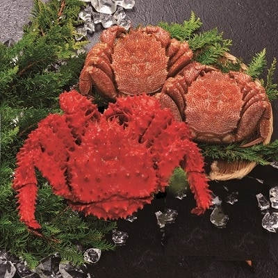 【北海道根室産】花咲がに1尾と毛がに2尾 C-01025