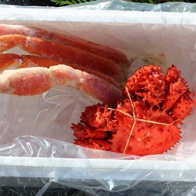 本ズワイガニ足1肩、花咲ガニ1尾 A-57040