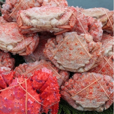 【北海道根室産】クリガニ15～21尾(3kg前後)、花咲ガニ1尾 A-57043