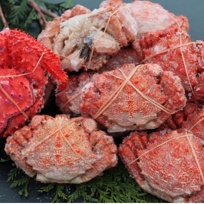 �y�k�C�������Y�z�N���K�j12�`14��(2.5kg�O��)�A�ԍ�K�j A-57044