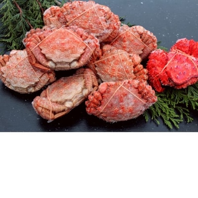 �y�k�C�������Y�z�N���K�j8�`9��(�v2kg�O��)�A�ԍ�K�j1�� A-57045