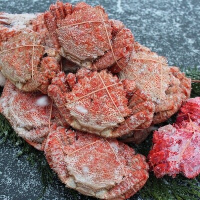 【北海道根室産】クリガニ13～17尾(4kg前後)、花咲ガニ1尾 C-57026