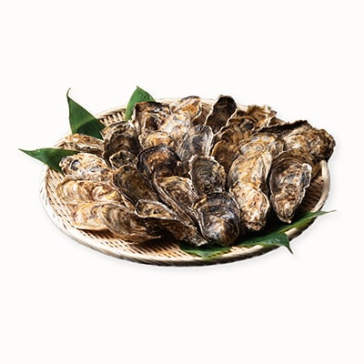 【北海道根室産】貝付き牡蠣30個 B-54006