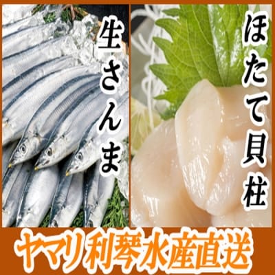 冷凍さんま・ほたて貝柱セット C-70038