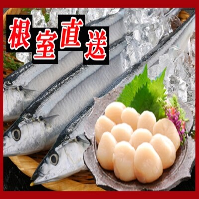 冷凍生さんま5尾×2P、ほたて貝柱200g×1P A-30033