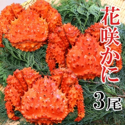 【北海道根室産】花咲蟹3尾(計1.3～1.6kg) A-27026