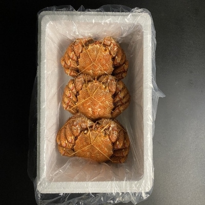 【北海道根室産】毛がに300g前後×3尾 B-21005