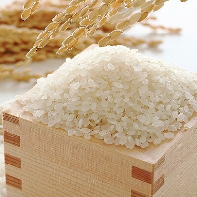 果物屋さんが選んだ米「元気つくし」5kg(赤村)