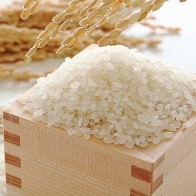 果物屋さんが選んだ米「夢つくし」5kg×2袋(赤村)