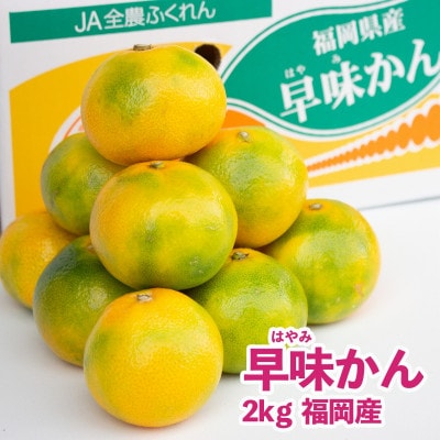 福岡産オリジナルブランドみかん「早味かん」約2kg(赤村)