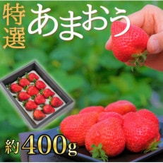 特選あまおう400g(赤村)