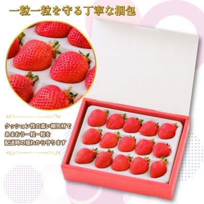 特選あまおう400g(赤村)