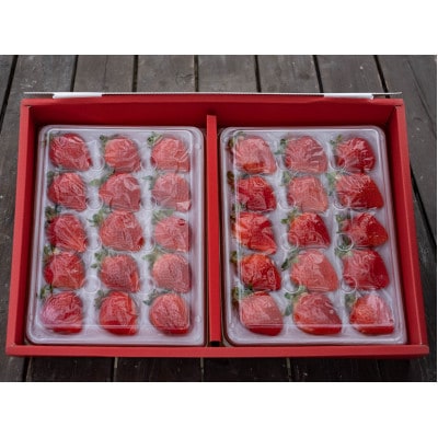 特選あまおう800g(赤村)