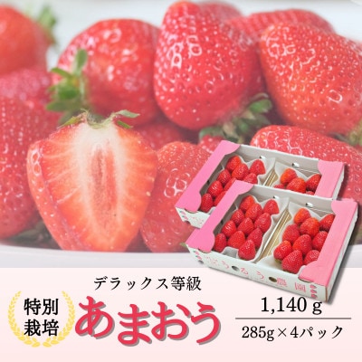 うるう農園のあまおう デラックス等級 4パック(1140g)(赤村)