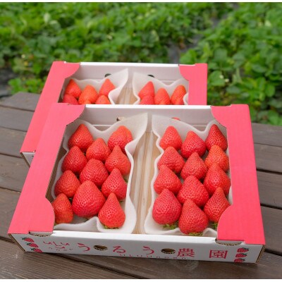 うるう農園のあまおう デラックス等級 4パック(1140g)(赤村)