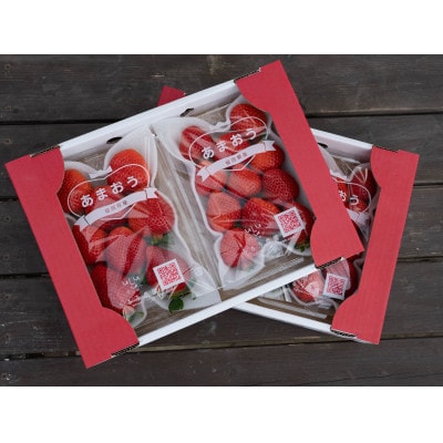 うるう農園のあまおう デラックス等級 4パック(1140g)(赤村)