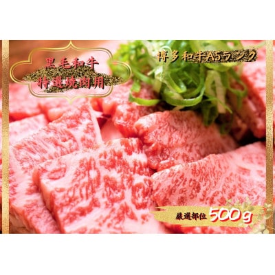【A4～A5】博多和牛焼肉用　500g(赤村)