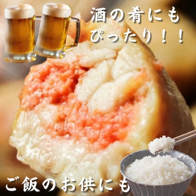 博多徳永 焼手羽明太(10本[5本×2P])(赤村)