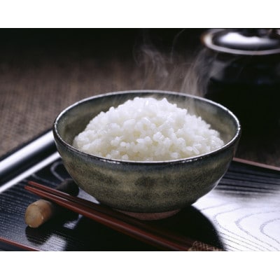 福岡県産夢つくし10kg(5kg×2)(赤村)