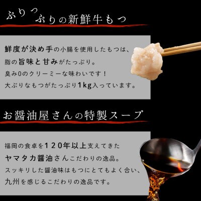 もつ鍋セット 10人前(もつ1000g) 濃縮醤油スープ(赤村)