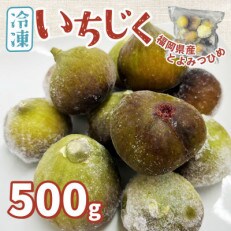 福岡県産「博多とよみつひめ」冷凍いちじく!500g(赤村)