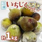 福岡県産「博多とよみつひめ」冷凍いちじく!合計1kg(赤村)