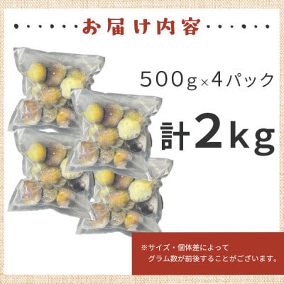 福岡県産「博多とよみつひめ」冷凍いちじく!合計2kg(赤村)