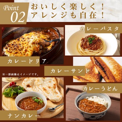 100%博多和牛のキーマカレー (180g×3パック)(赤村)