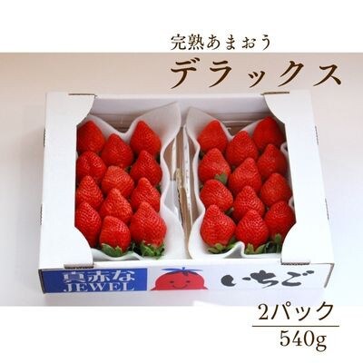 【あまおうDX】6玉~15玉(2パック)1月より順次発送(赤村)