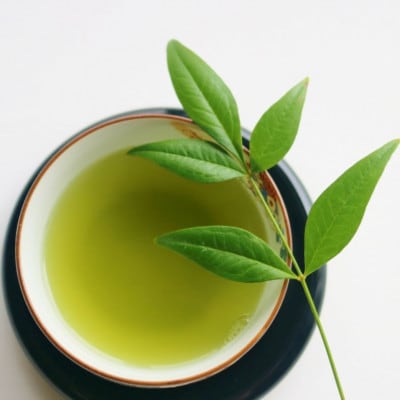 八女茶【特上】煎茶セット　100g×2袋(赤村)