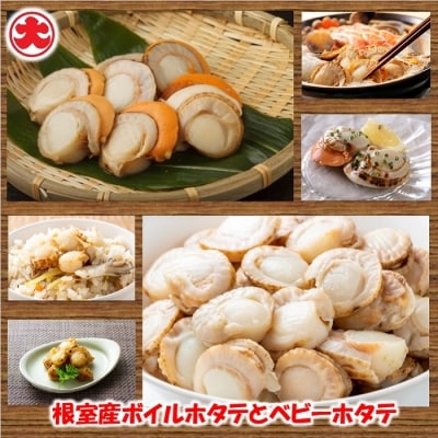 【北海道根室産】ホタテ800g×2P、ボイルベビーホタテ1kg B-01060