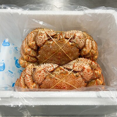 【北海道根室産】浜ゆで毛がに600～700g×2尾 D-05003