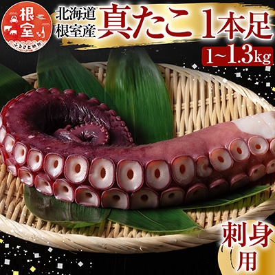 【北海道根室産】真たこ1本足1～1.3kg A-19004
