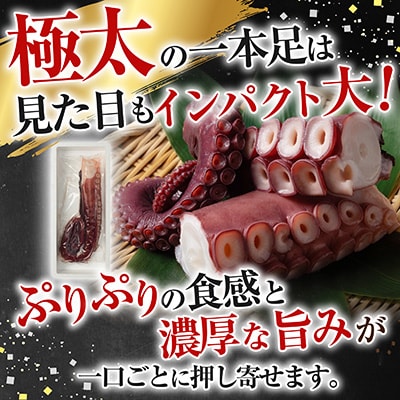 【北海道根室産】真たこ1本足1～1.3kg A-19004