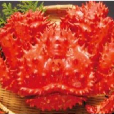 花咲ガニボイル冷凍1.5kg前後×1尾 D-89002