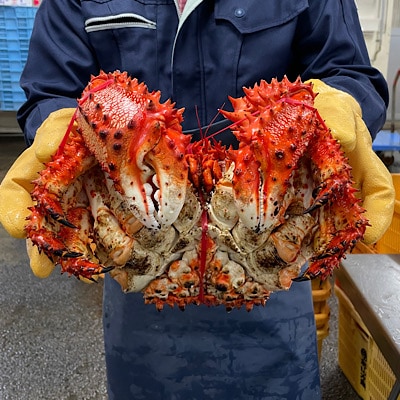 花咲ガニボイル冷凍1.5kg前後×1尾 D-89002