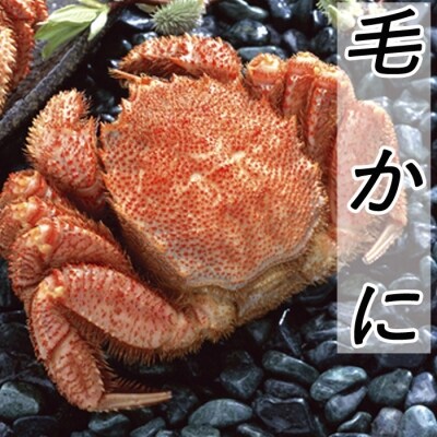 毛かに400g前後～550g前後×1尾 B-36021
