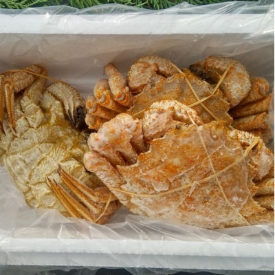 【北海道根室産】クリガニ3尾(計900g前後) A-57057