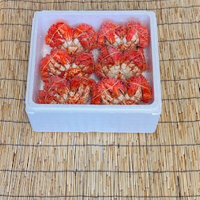 【北海道根室産】花咲かに500g～650g×6尾 D-76004