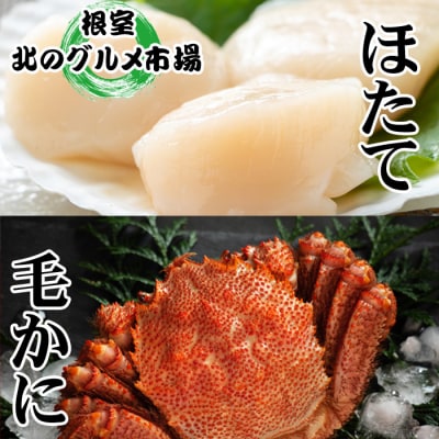 毛かに400～550g前後・ほたて貝柱200g C-76034