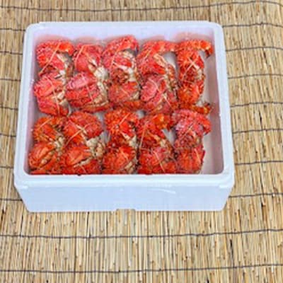 【北海道根室産】花咲かに400g～600g×10尾 D-76011