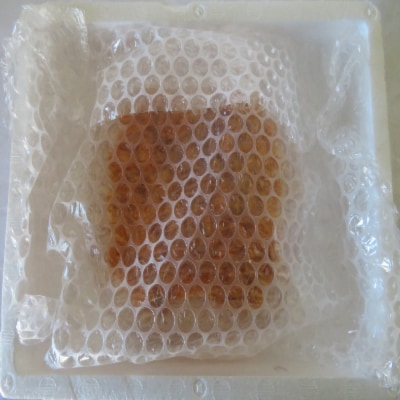 エゾバフンウニ塩水パック80～90g×1P B-59018