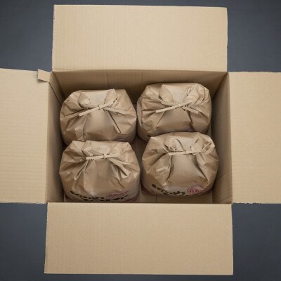 北海道米ゆめぴりか5kg×4袋 D-65006