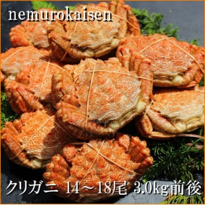 【北海道根室産】クリガニ14～18尾(計3kg前後) A-57062