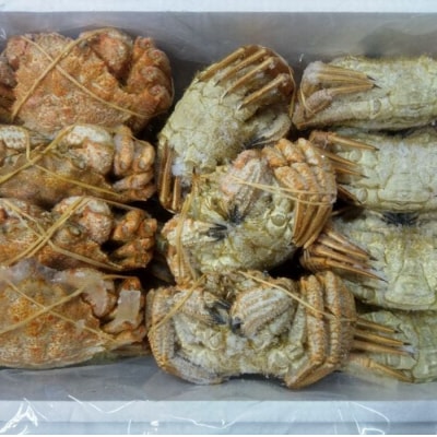 【北海道根室産】クリガニ14～18尾(計3kg前後) A-57062